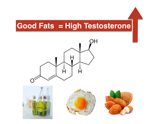 Best Muscle Building Foods For Ectomorphs Best Muscle Building Foods For Ectomorphs