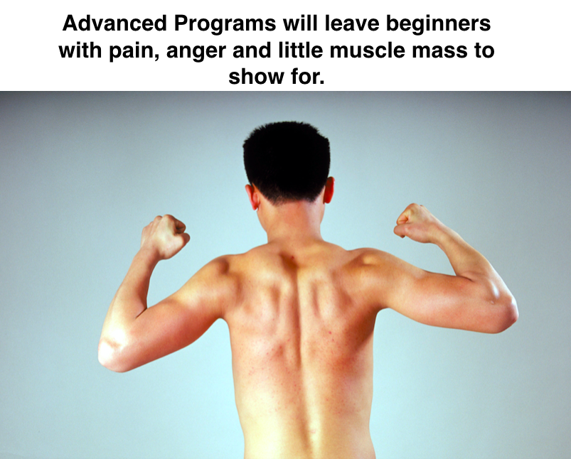 3 Best Muscle Building Programs For Beginner Bodybuilders