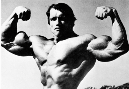 Arnold PR