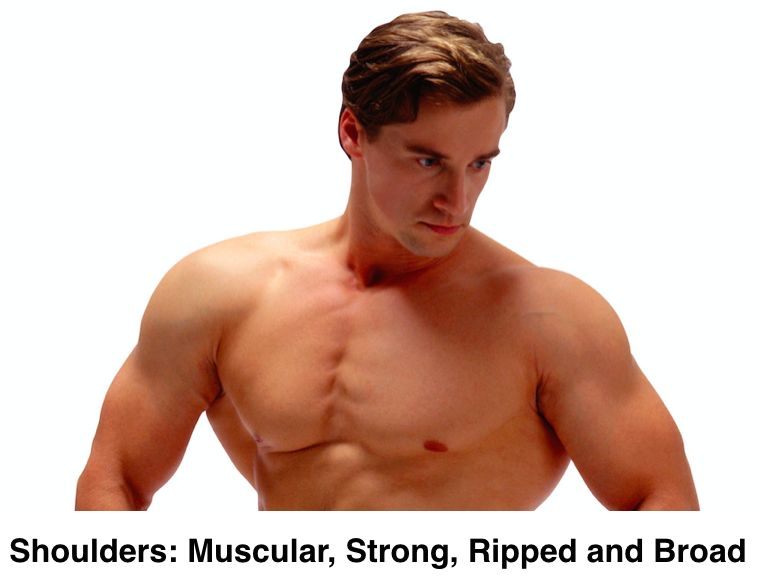 Names Of Muscles In Shoulder / Free Image Gallery / I started this