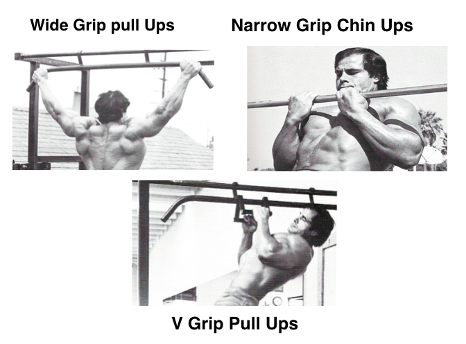 wide pull ups muscles involved wide pull ups muscles involved