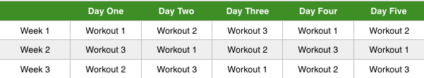 5 Day Muscle Building Workout Routine
