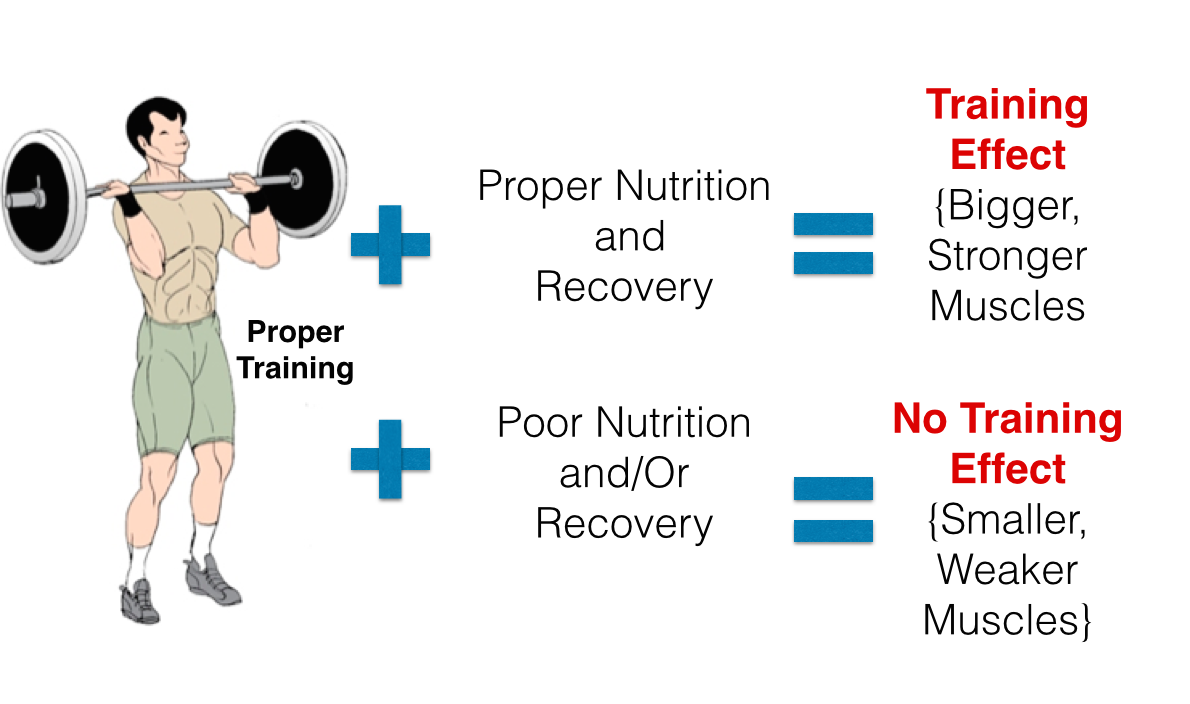 The Amazing Muscle Building Effect Principle of Muscle Growth